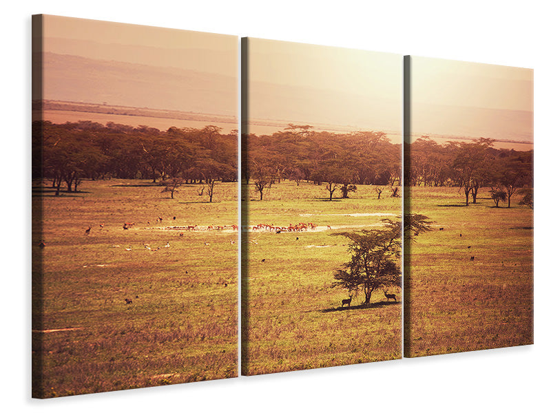 3-piece-canvas-print-picturesque-africa