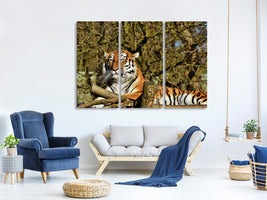 3-piece-canvas-print-proud-tiger