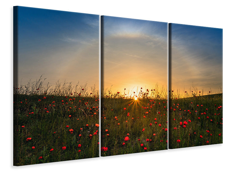 3-piece-canvas-print-red-poppies-and-sunrise