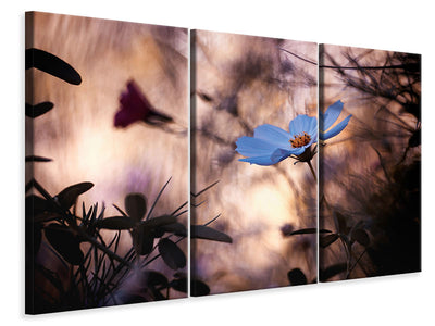 3-piece-canvas-print-rence