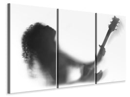 3-piece-canvas-print-solo