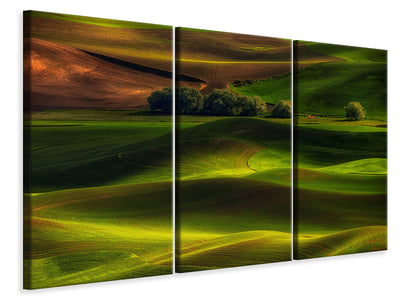 3-piece-canvas-print-spring-in-the-palouse