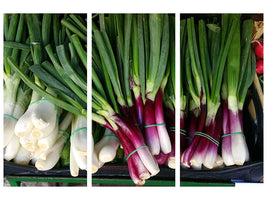 3-piece-canvas-print-spring-onions