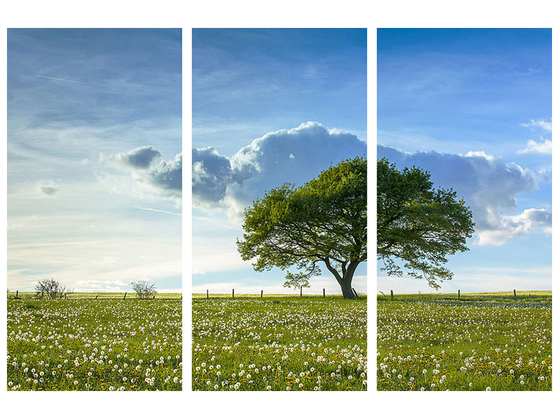 3-piece-canvas-print-spring-tree