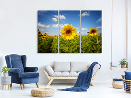 3-piece-canvas-print-summer-sunflowers