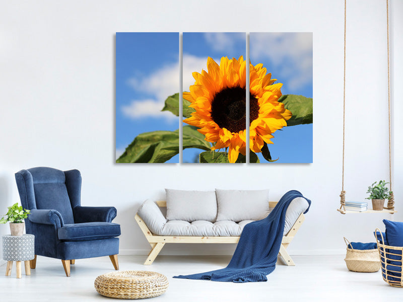 3-piece-canvas-print-sunflower-in-bloom