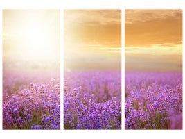 3-piece-canvas-print-sunset-in-lavender-field
