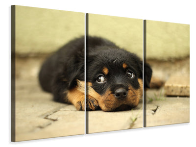 InstyleArt Rottweiler attento Stampa su Tela 100x70 cm Artistica murale InstyleArt Rottweiler attento Stampa su Tela 100x70 cm Artistica murale