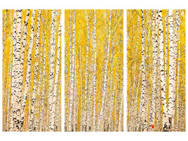 3-piece-canvas-print-the-birch-forest-in-autumn