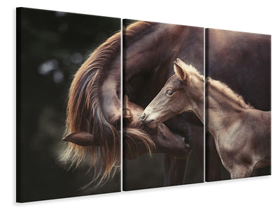 3-piece-canvas-print-the-bond