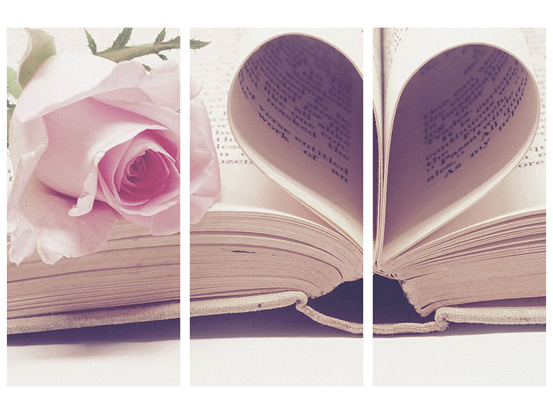 3-piece-canvas-print-the-book-of-love