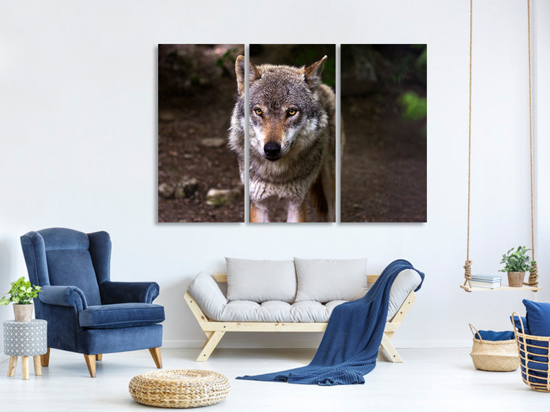 3-piece-canvas-print-the-evil-wolf