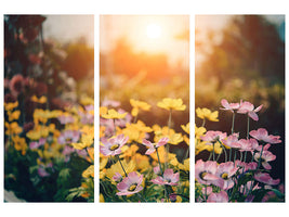 3-piece-canvas-print-the-flowers