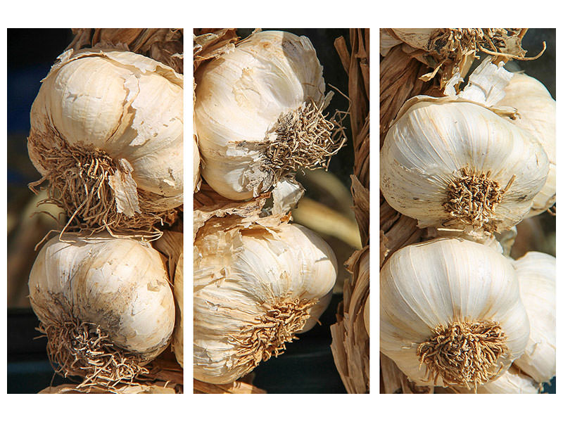 3-piece-canvas-print-the-garlic-xl