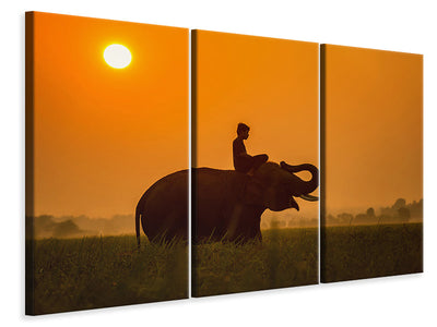 3-piece-canvas-print-the-holy-elephant