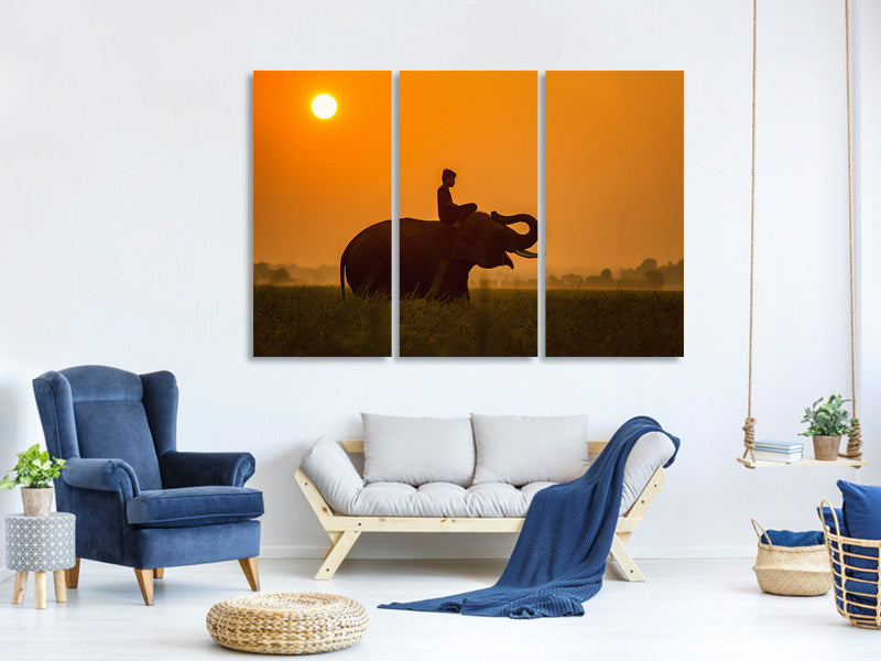 3-piece-canvas-print-the-holy-elephant