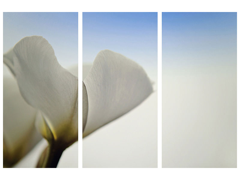 3-piece-canvas-print-the-leaf-of-a-lily-blossom