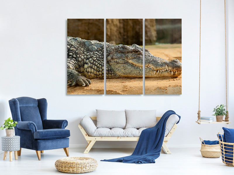 3-piece-canvas-print-the-nile-crocodile