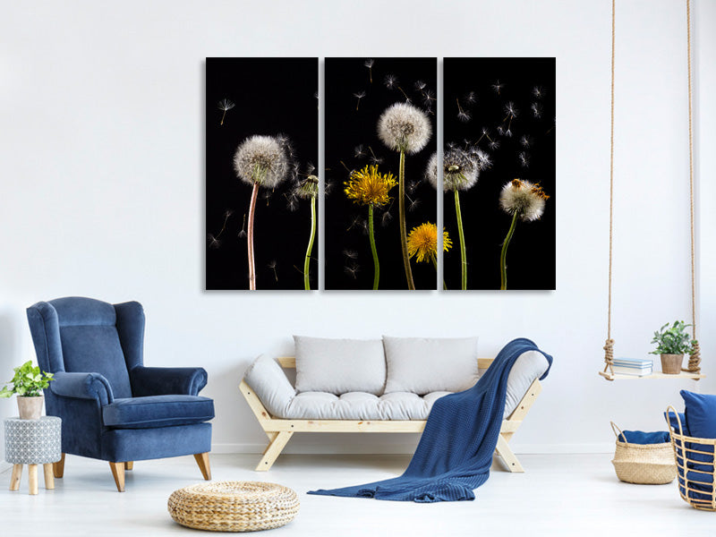 3-piece-canvas-print-the-phases-of-dandelion