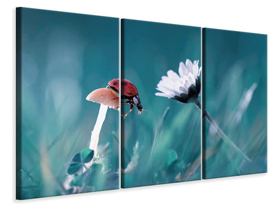 3-piece-canvas-print-the-story-of-the-lady-bug