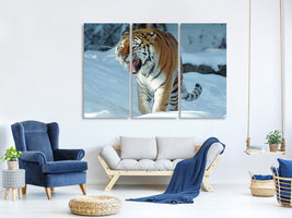 3-piece-canvas-print-tiger-in-the-snow