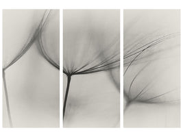 3-piece-canvas-print-tragopogon