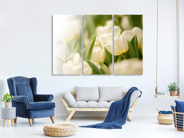 3-piece-canvas-print-tulips-perspective