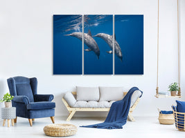 3-piece-canvas-print-two-bottlenose-dolphins