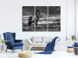 3-piece-canvas-print-two-of-a-kind