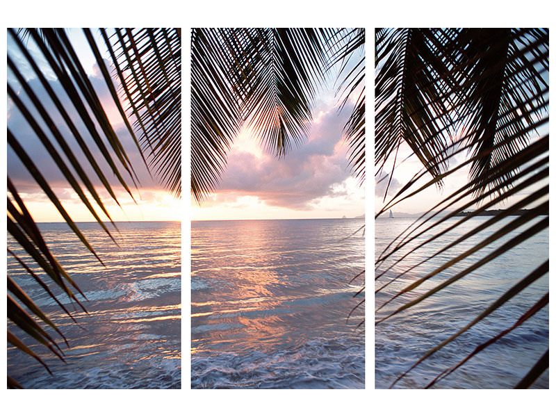 3-piece-canvas-print-under-palm-leaves