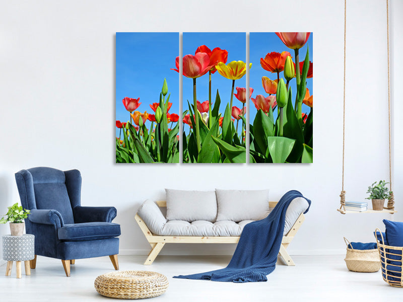 3-piece-canvas-print-wild-tulips