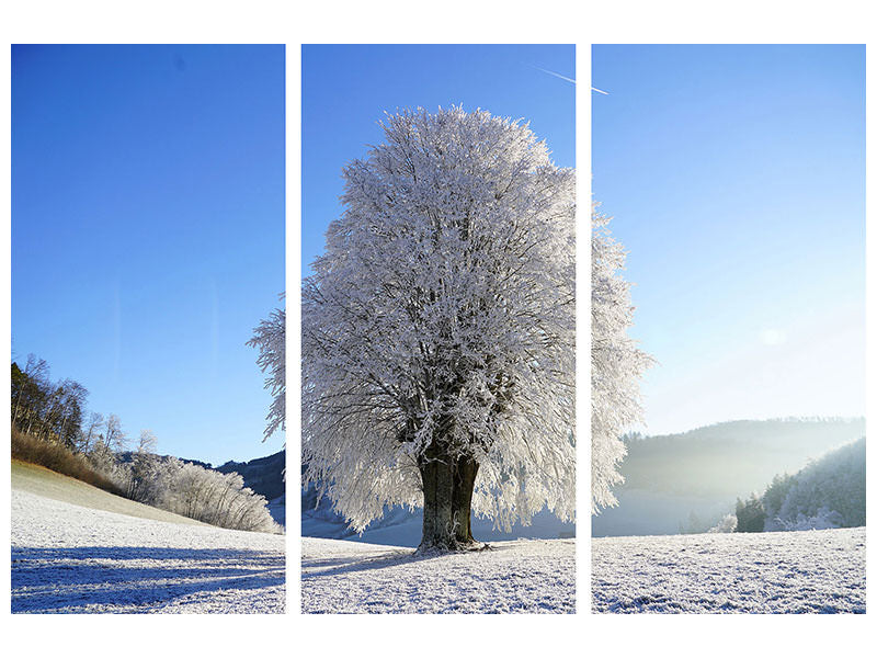 3-piece-canvas-print-winter-fairy-tale