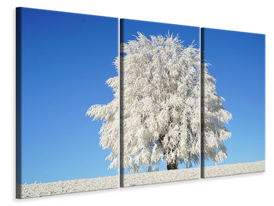 3-piece-canvas-print-winter-tree