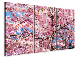 3-piece-canvas-print-wonderful-japanese-cherry