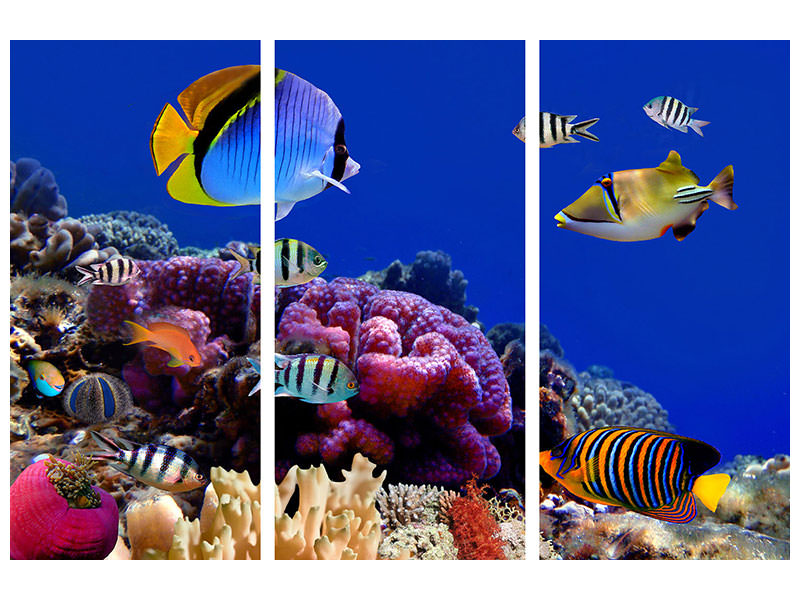 3-piece-canvas-print-world-of-fish