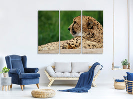 3-piece-canvas-print-xl-cheetah