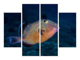 4-piece-canvas-print-blue-triggerfish