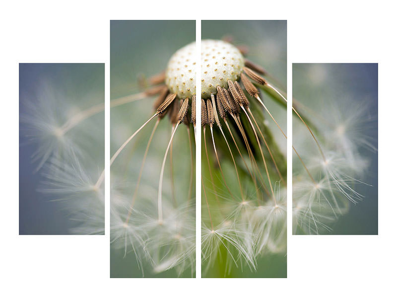 4-piece-canvas-print-dandelion-close-up