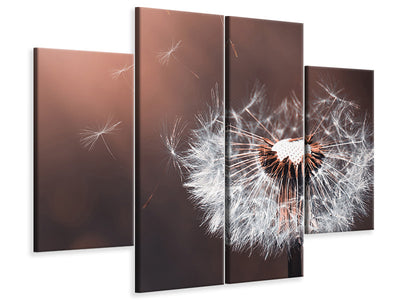 4-piece-canvas-print-dandelion-in-the-evening-light