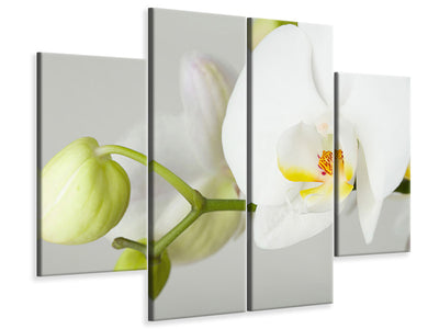 4-piece-canvas-print-giant-orchid