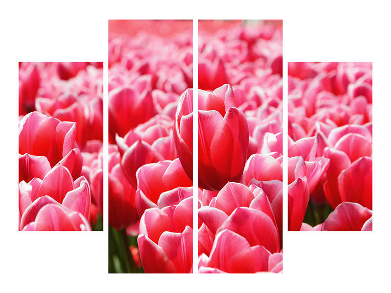 4-piece-canvas-print-happy-tulip-field