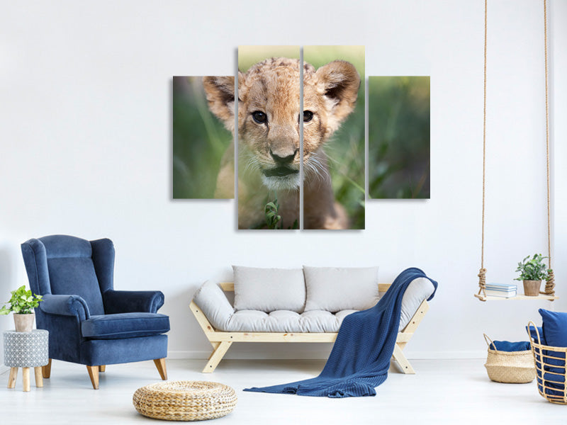 4-piece-canvas-print-lion-baby