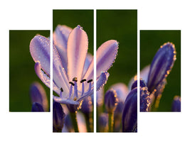 4-piece-canvas-print-ornamental-lilies-with-morning-dew