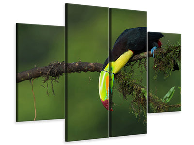 4-piece-canvas-print-the-colors-of-costa-rica