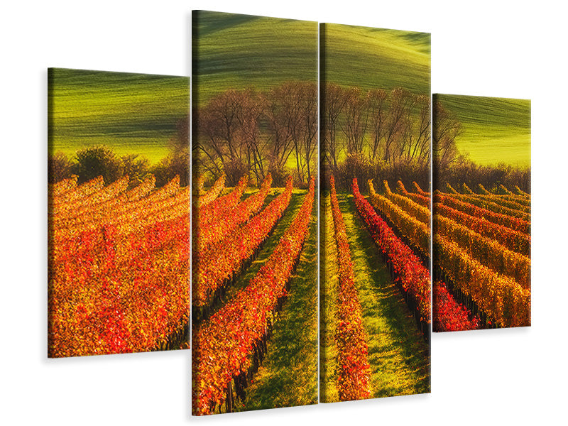 4-piece-canvas-print-vine-growing