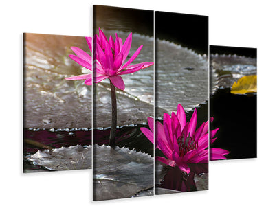 4-piece-canvas-print-water-lily-in-the-morning-dew