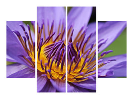 4-piece-canvas-print-xxl-water-lily-in-purple