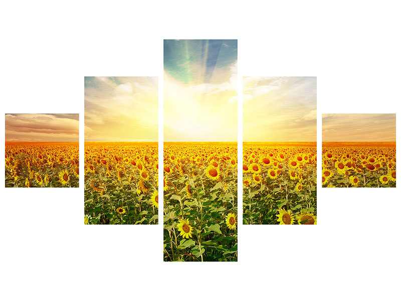 5-piece-canvas-print-a-field-full-of-sunflowers