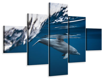 5-piece-canvas-print-bottlenose-dolphin-turciops-aduncus