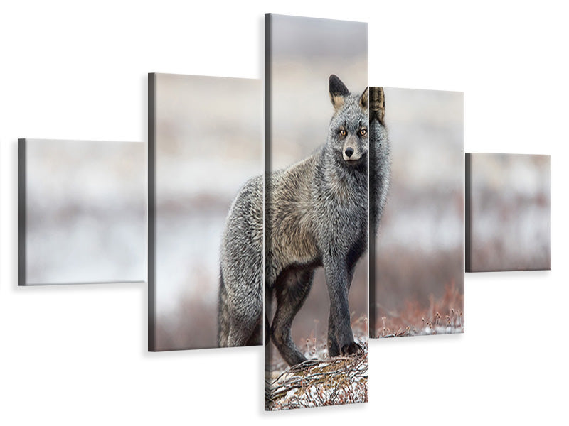 5-piece-canvas-print-cross-fox